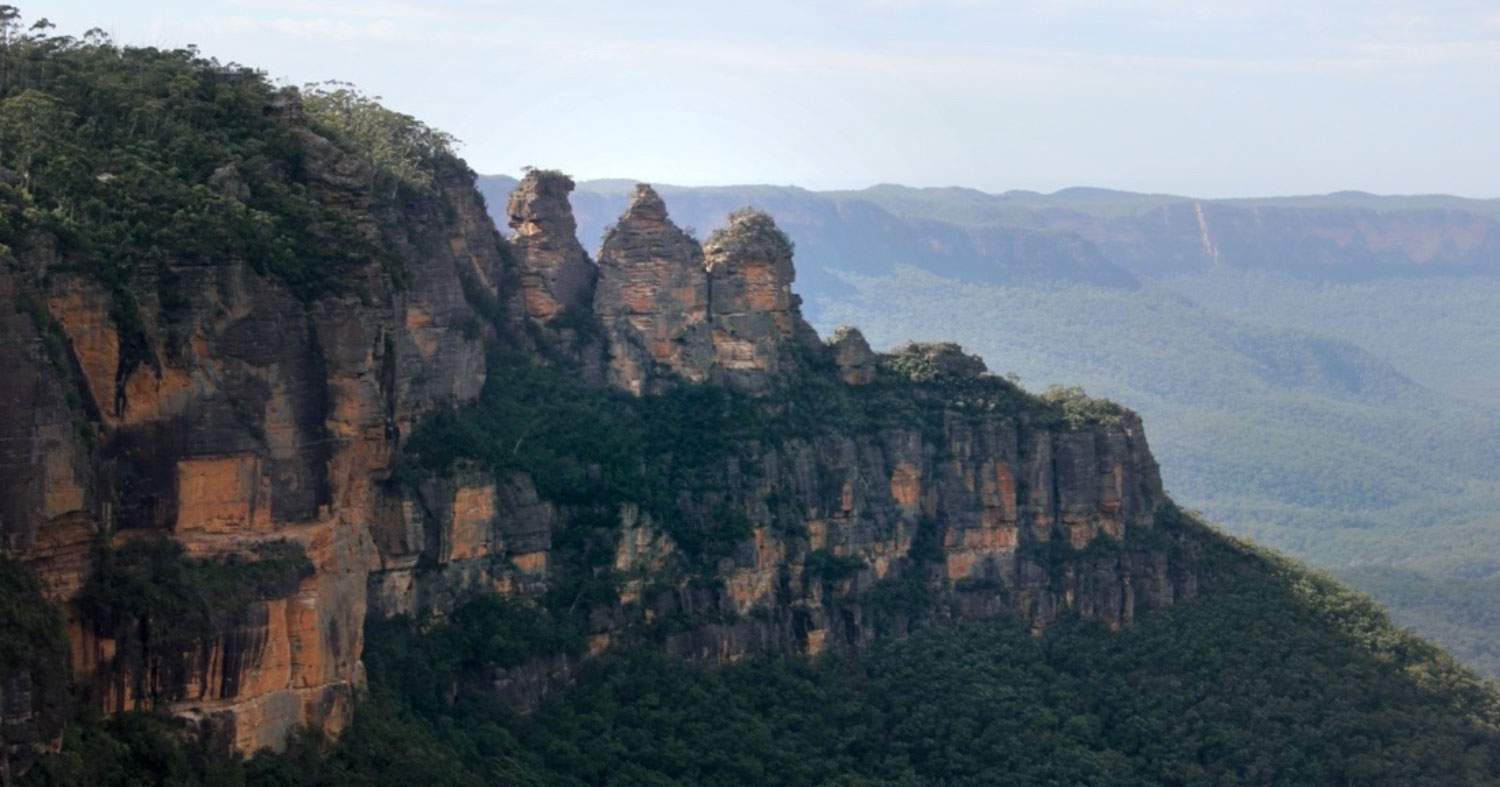 Professional pest control in the Blue Mountains