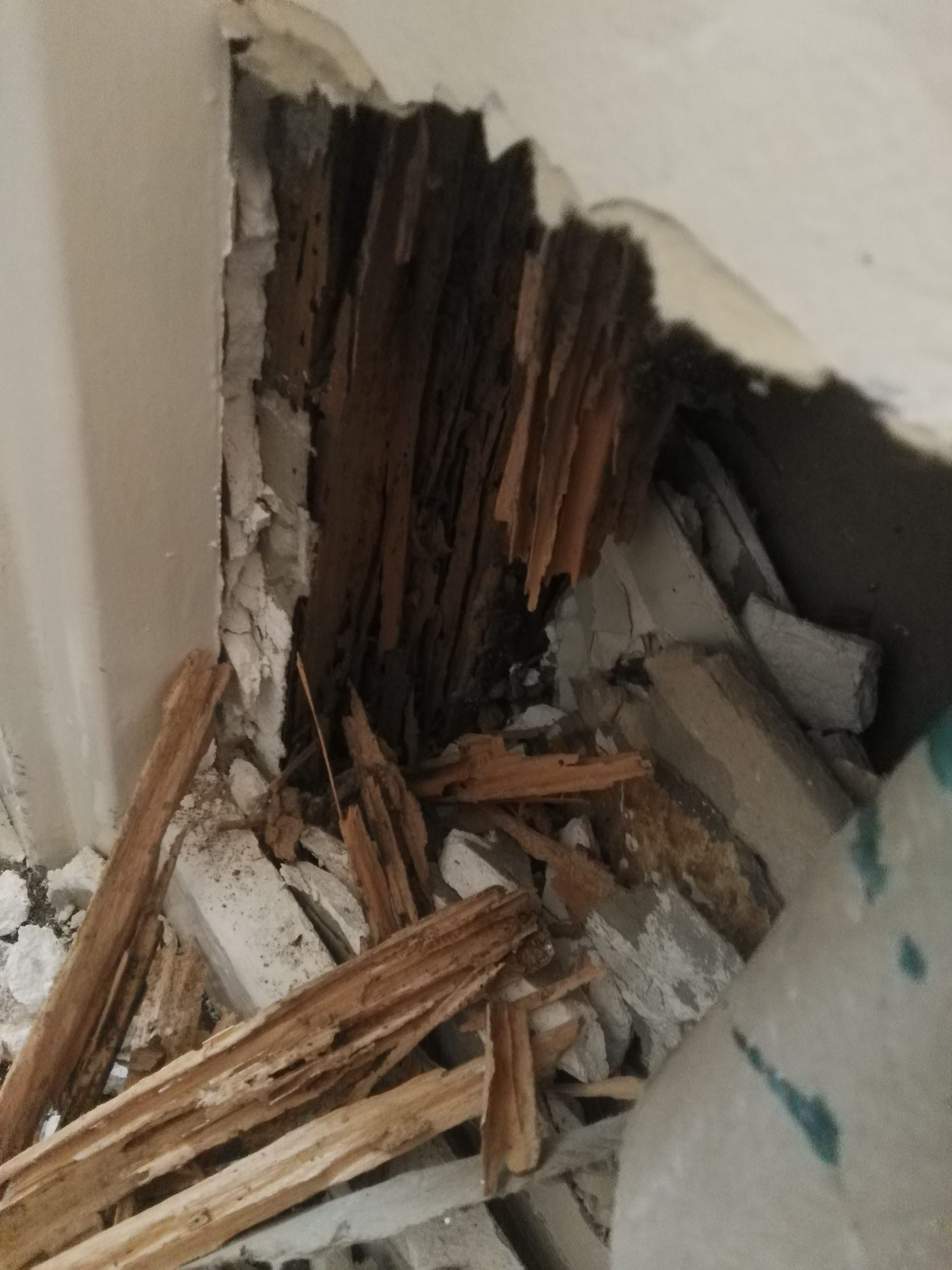 Hidden Termite Activity Causing Extensive Damage