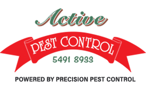 Protect your home with Active Termite & Pest Control