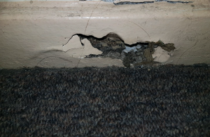 Termite Damage Inner West Sydney