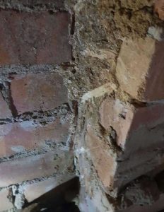 Termite activity that could have caused devastating damage in Wyoming NSW