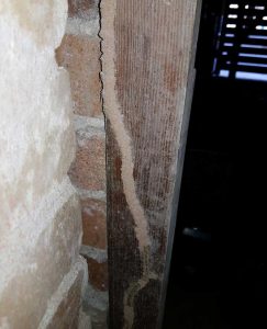 Termite mud trails endangering a home in St.Ives NSW